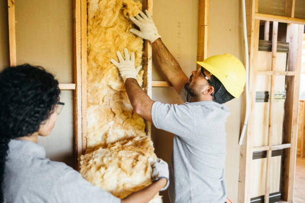 Best Blown-In Insulation  in Colma, CA